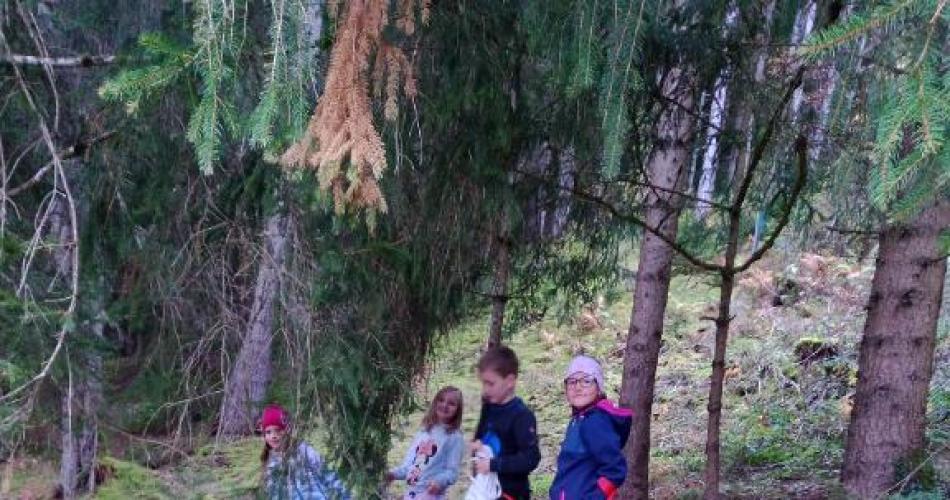 Waldtag